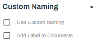 Custom Naming section