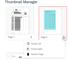 Restore page option