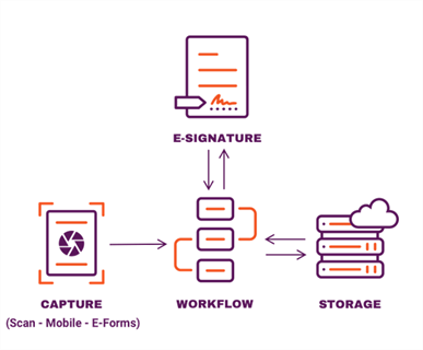 Flow diagram of Vasion concepts.