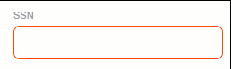SSN mask field input