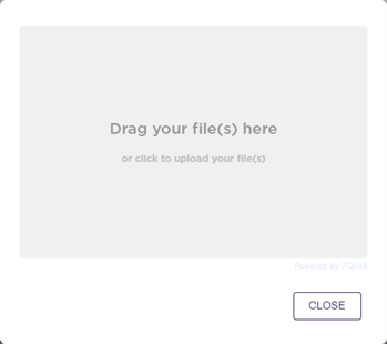 Upload modal.