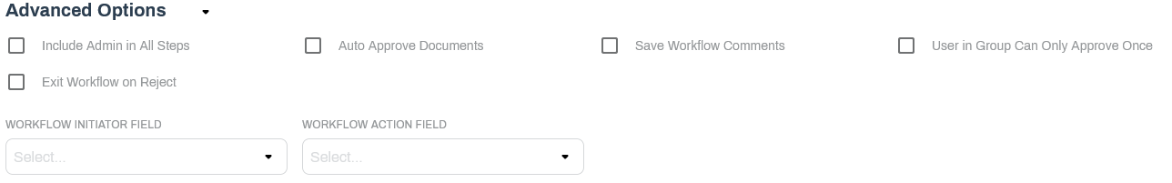 Workflow advanced option configuration.