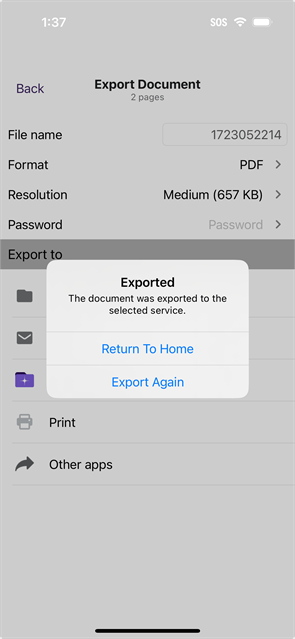 Options available after saving file