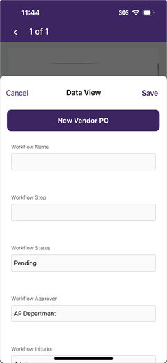 Data View