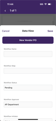 Data View