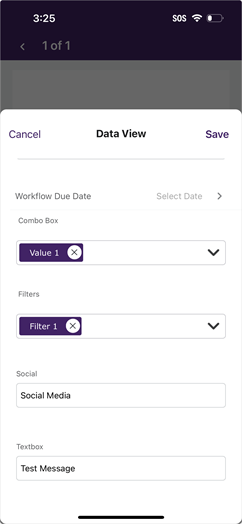 Data View
