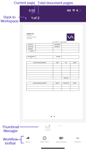 Workspace Document View