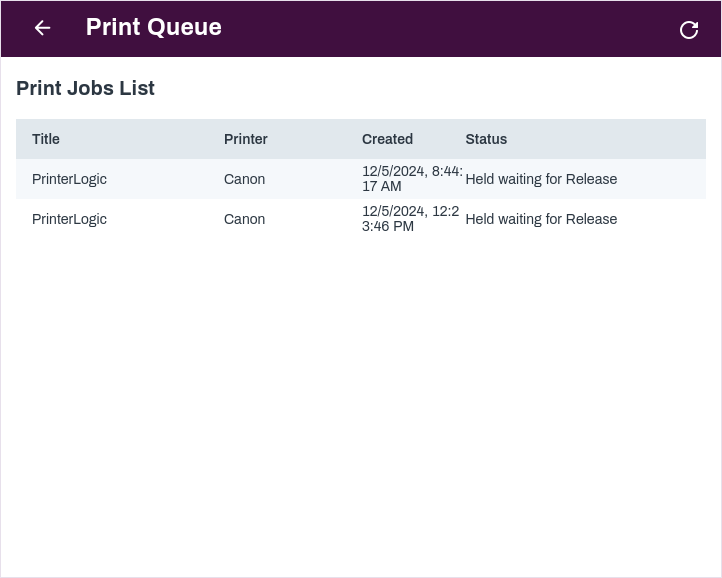 Print Queue modal. Print Queue modal showing two jobs on hold.