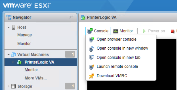 ESXi interface with the Console, and Open browser console options highlighted in the upper right.
