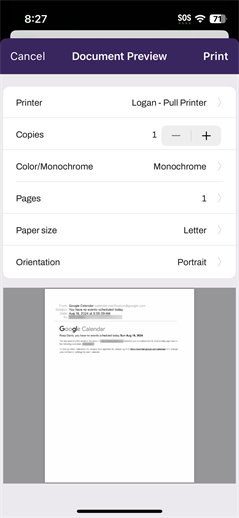 Document preview modal. Document Preview print modal in iOS.