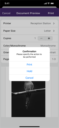 Print Cofnirmation modal Confirmation message modal with options to Print, Hold, or Cancel.
