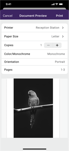 Document preview screen. Document Preview print screen in iOS.