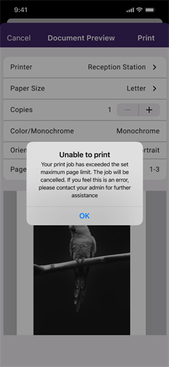 Exceeded page limit message Unable to print message due to exceeded page limit.