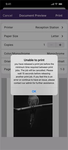 Minimm time between print jobs not met Unable to print message due to minimm time between print jobs not met