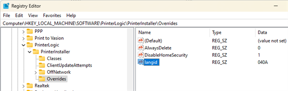 Language String in the Registry Editor