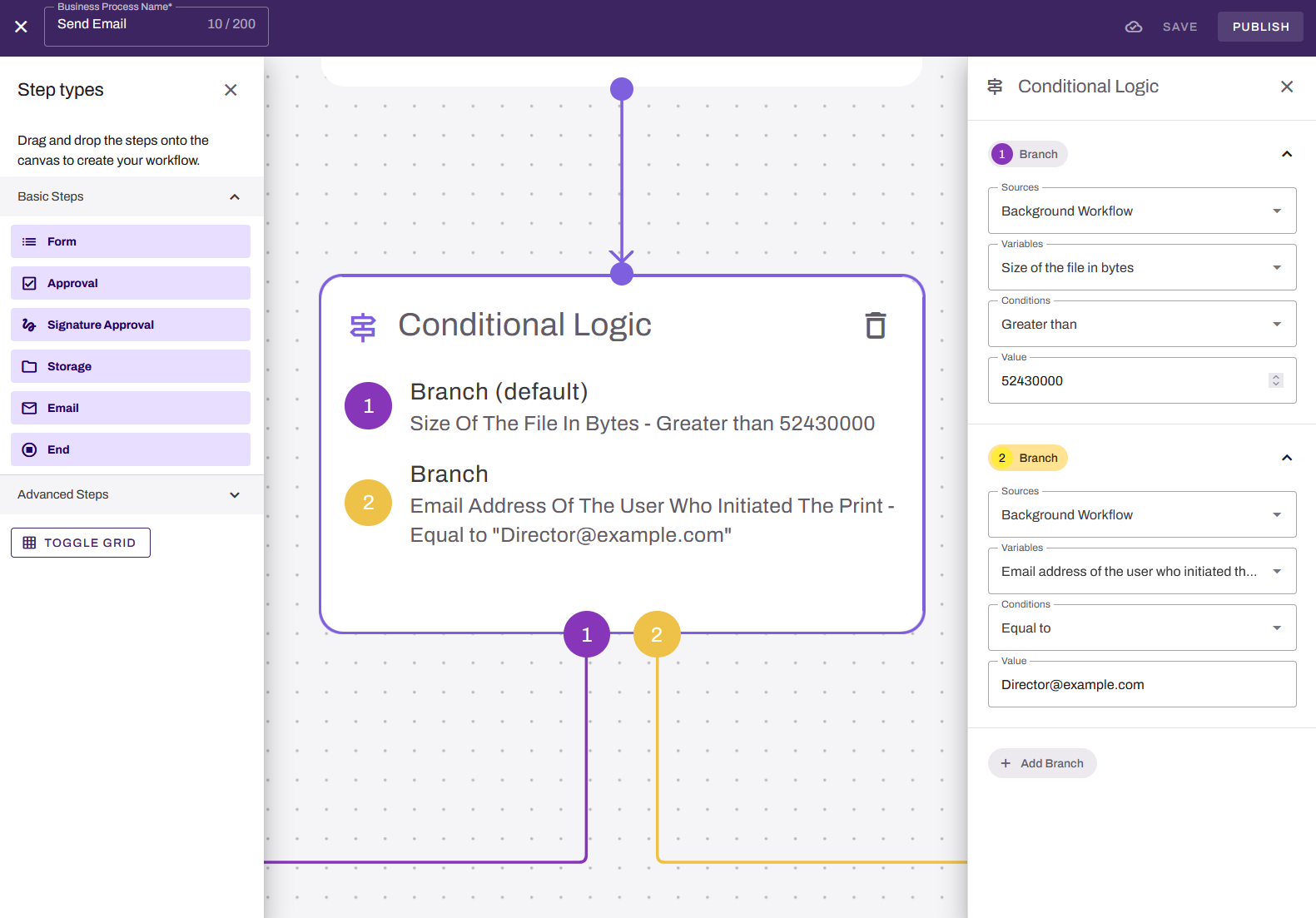"Conditional Logic" step with two branches configured. "Conditional Logic" step with two branches configured.